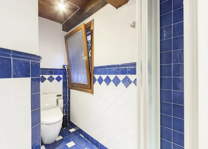 Ludovico De Varthema,